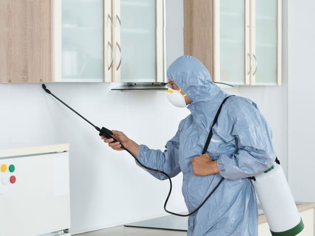 Pest Control And Disinfection Service in Kathmandu